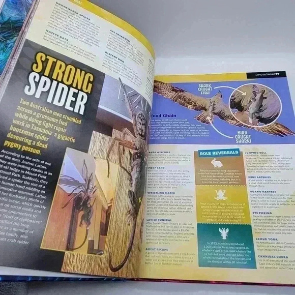 Excellent ! Believe it or Not 303 pages 2020 Hardcover English Full Graphic - Picture 4 of 10